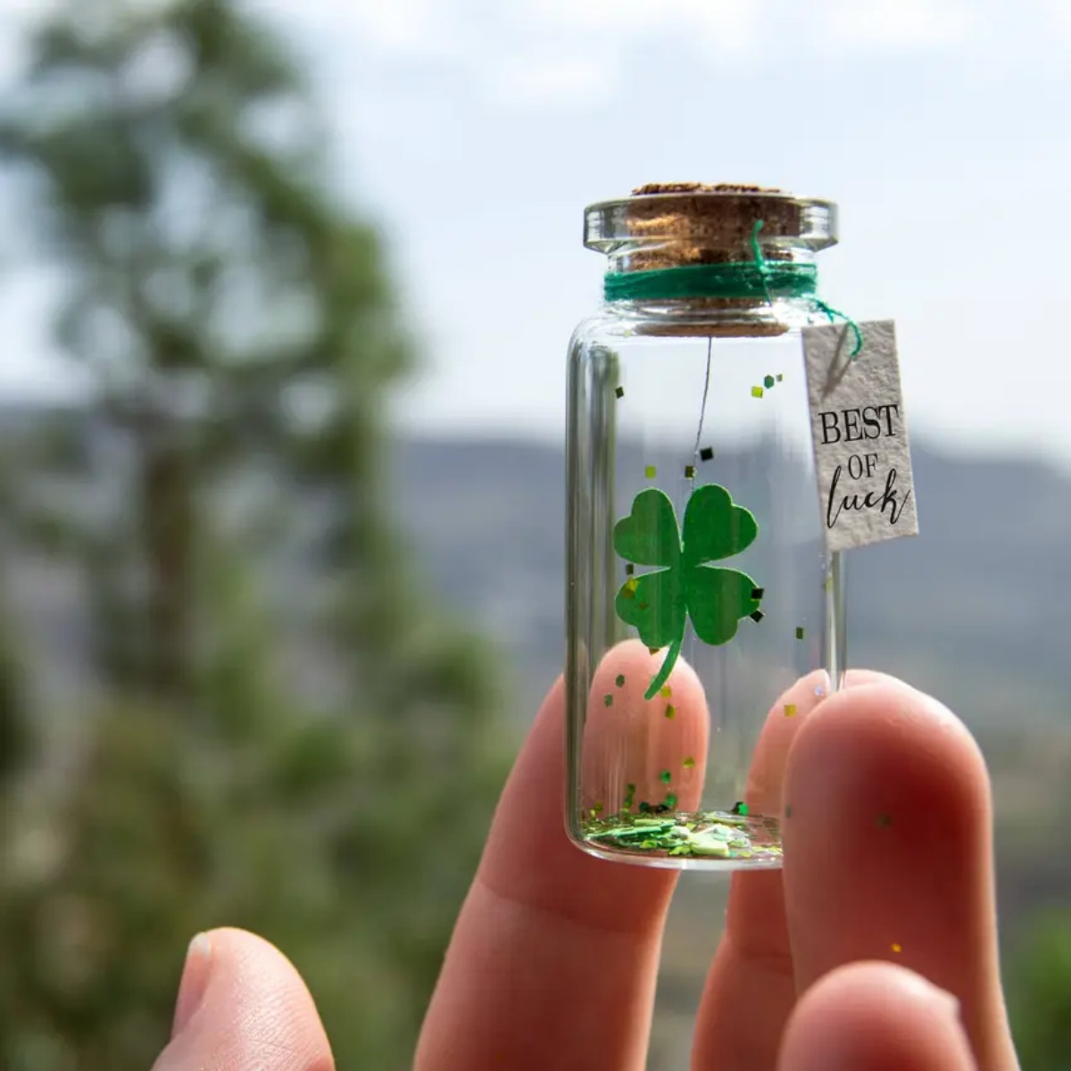 Good luck gift Best of luck Go - Wedding Job recension och pris